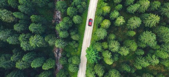 Egy erdőn áthaladó autó felülnézetből