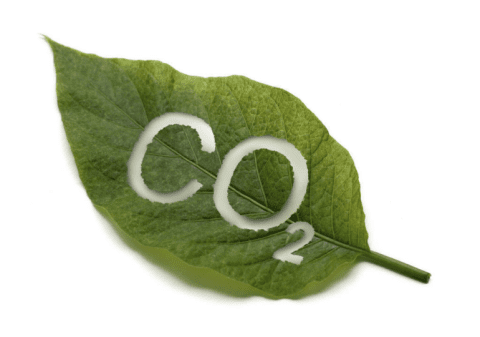 Szén-dioxid, a szén-dioxid kibocsátás, szén-dioxid-semlegesség, szén-dioxid-mentesítés, környezetszennyezés, környezetvédelem, levél, fenntartható fejlődés