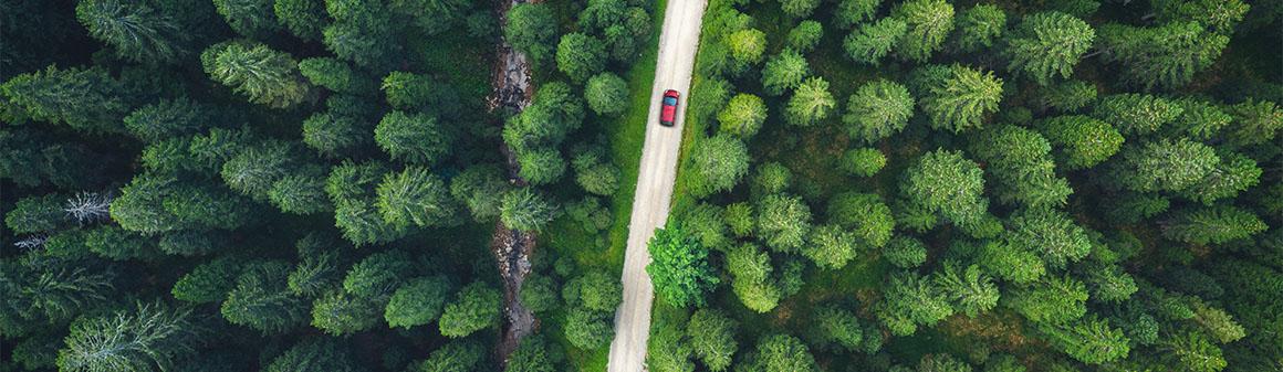 Felülnézetből egy erdőben haladó autó látható